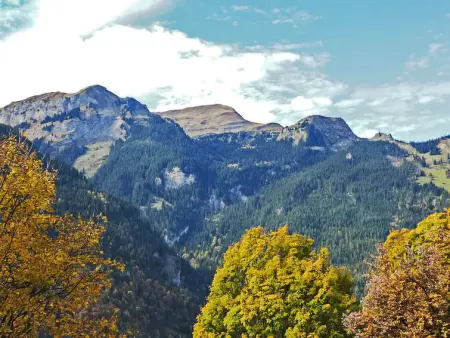 Panorama Apt. P, Appartement 6 personnes à Wengen - Photo 14