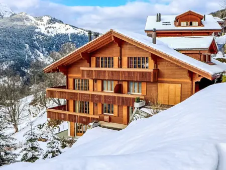 Panorama Apt. P, Appartement 6 personnes à Wengen - Photo 17