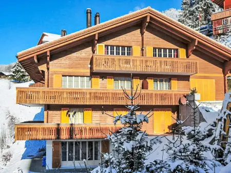 Panorama Apt. P, Appartement 6 personnes à Wengen - Photo 18
