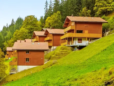 Racer's Retreat Apt.12, Appartement 8 personnes à Wengen - Photo 4