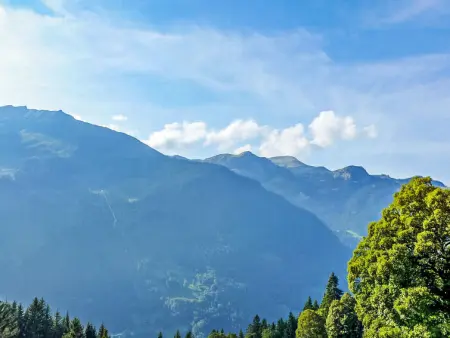 Racer's Retreat Apt.12, Appartement 8 personnes à Wengen - Photo 21