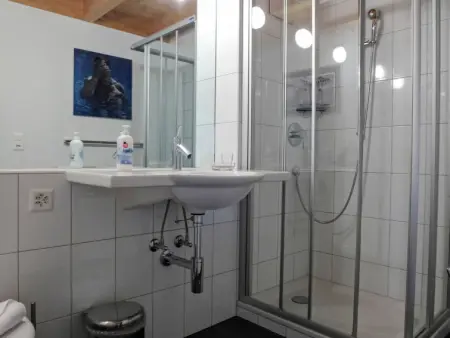 Roossi Apt. 1, Appartement 6 personnes à Wengen - Photo 16