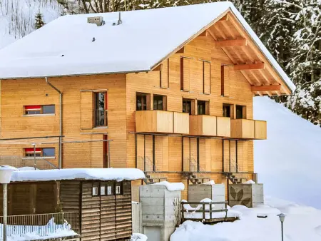 Roossi Apt. 1, Appartement 6 personnes à Wengen - Photo 26