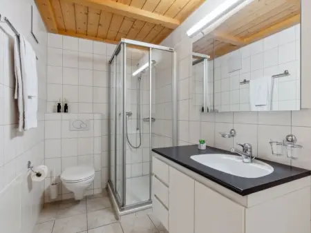 Roossihuus Apt.S, Appartement 6 personnes à Wengen - Photo 17