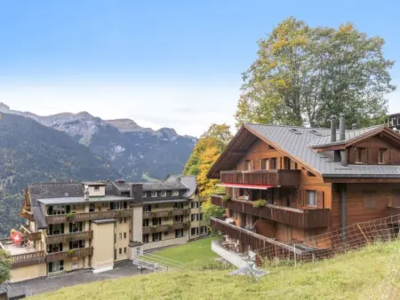 Roossihuus Apt.S, Appartement 6 personnes à Wengen - Photo 28