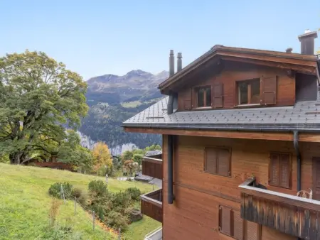 Roossihuus Apt.S, Appartement 6 personnes à Wengen - Photo 30