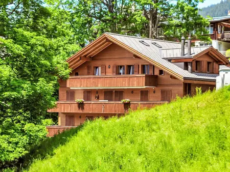 Roossihuus Apt.S, Appartement 6 personnes à Wengen - Photo 31