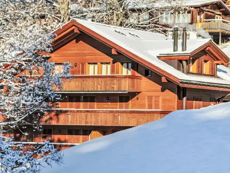 Roossihuus Apt.S, Appartement 6 personnes à Wengen - Photo 34