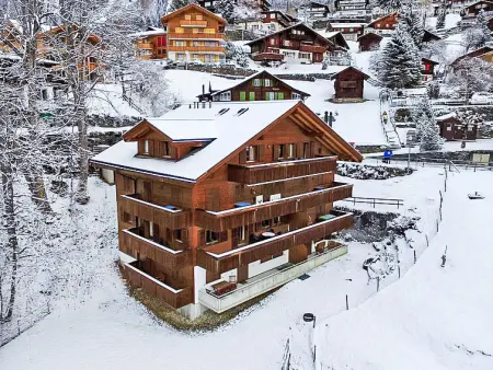 Roossihuus Apt.S, Appartement 6 personnes à Wengen - Photo 35