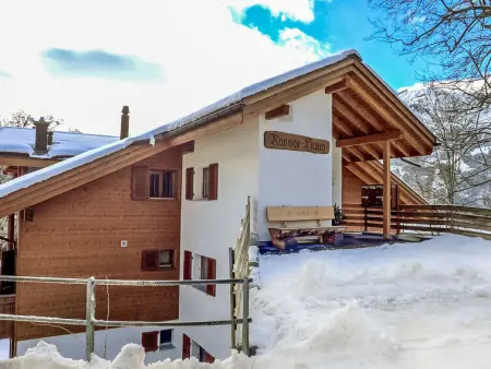 Roossihuus Apt.S, Appartement 6 personnes à Wengen - Photo 36