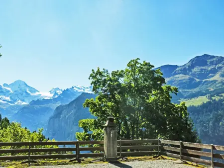Schweizerhof Apt. B, Appartement 4 personnes à Wengen - Photo 12