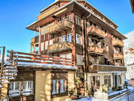 Schweizerhof Apt. B, Appartement 4 personnes à Wengen - Photo 19