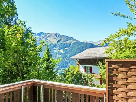 Schweizerhof Apt. S, Appartement 4 personnes à Wengen - Photo 21