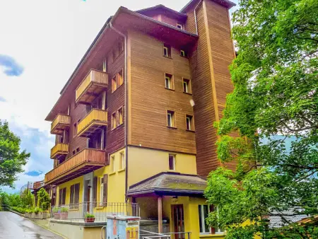 Schweizerhof Apt. S, Appartement 4 personnes à Wengen - Photo 28