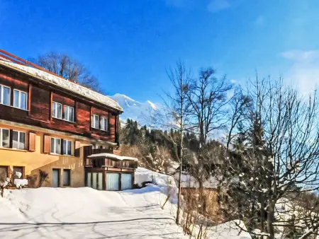 Schweizerhof Apt. S, Appartement 4 personnes à Wengen - Photo 31