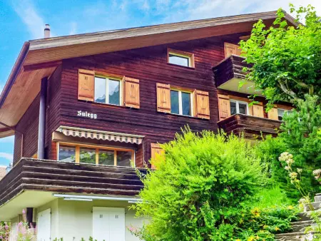 Sulegg Apt. I, Appartement 4 personnes à Wengen - Photo 4