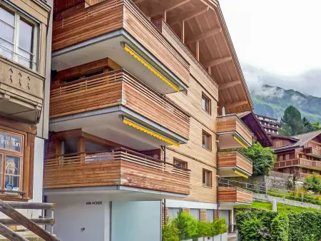 Am Acher II Apt. F, Appartement 4 personnes à Wengen - Photo 25