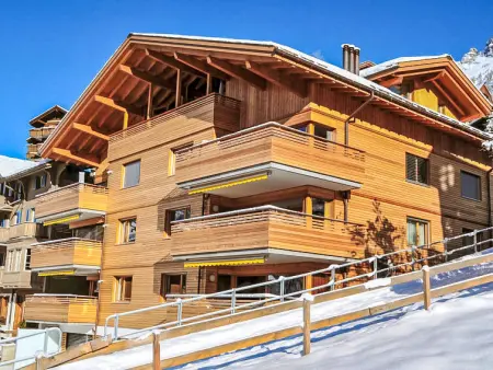 Am Acher II Apt. F, Appartement 4 personnes à Wengen - Photo 26