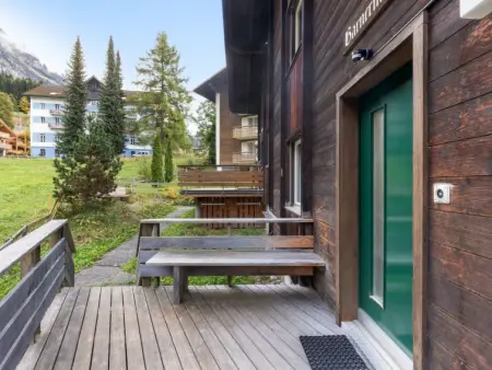 Bärnermutz, Appartement 7 personnes à Wengen - Photo 30