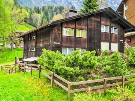 Bärnermutz, Appartement 7 personnes à Wengen - Photo 31