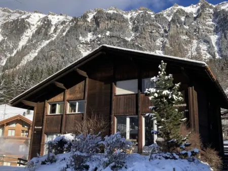 Bärnermutz, Appartement 7 personnes à Wengen - Photo 34