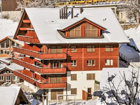 Bella Vista Apt. No. 10, Appartement 6 personnes à Wengen - Photo 18