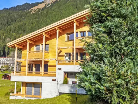 Bab Port Apt. 03, Appartement 8 personnes à Wengen - Photo 14