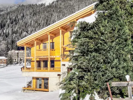 Bab Port Apt. 03, Appartement 8 personnes à Wengen - Photo 17