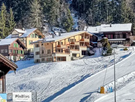 Bab Port Apt. 03, Appartement 8 personnes à Wengen - Photo 22