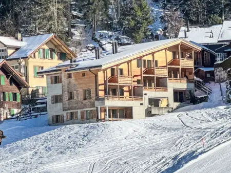 Bab Port Apt. 03, Appartement 8 personnes à Wengen - Photo 23