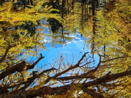 Orion, Appartement 2 personnes à Saas Grund - Photo 1