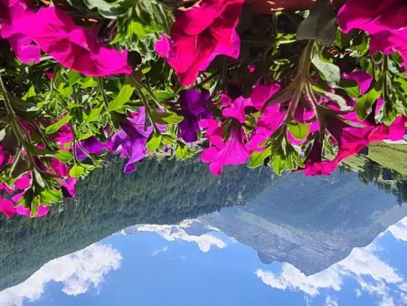 Orion, Appartement 2 personnes à Saas Grund - Photo 8