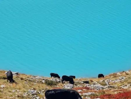 Orion, Appartement 2 personnes à Saas Grund - Photo 12