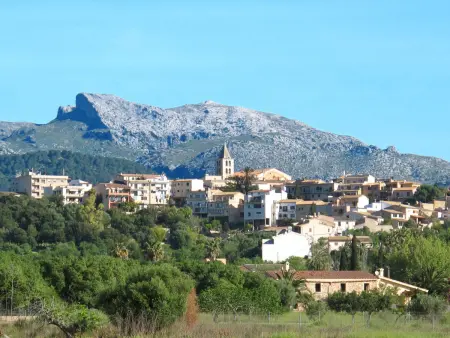 Pla de ses rotes, Maison 10 personnes à Campanet - Photo 32