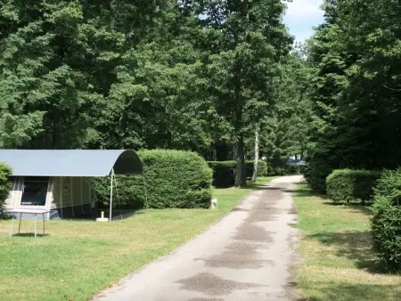 Domaine des Messires - Lodge de Luxe, Maison 5 personnes à Herpelmont - Photo 4