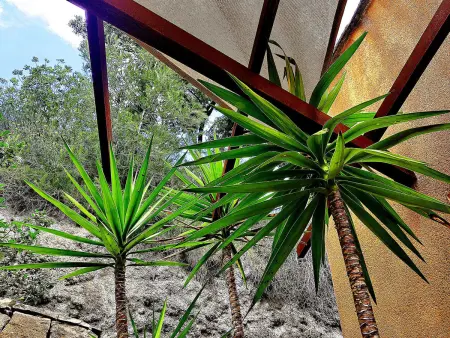 Villa Perroquet, Maison 6 personnes à Carces - Photo 19