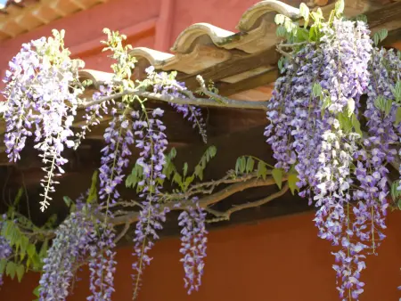 LES VALERIANES, Maison 8 personnes à Carces - Photo 24