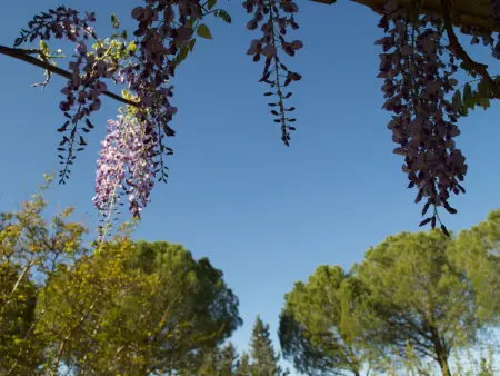 LES VALERIANES, Maison 8 personnes à Carces - Photo 25