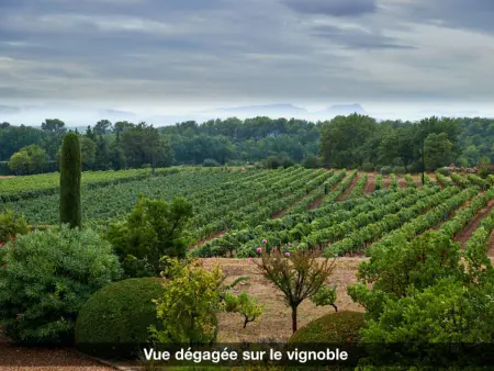 LA VOLIERE, Maison 6 personnes à Carces - Photo 39