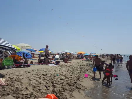Camping Paradiso - Aranciona 7, Maison 5 personnes à Viareggio - Photo 11