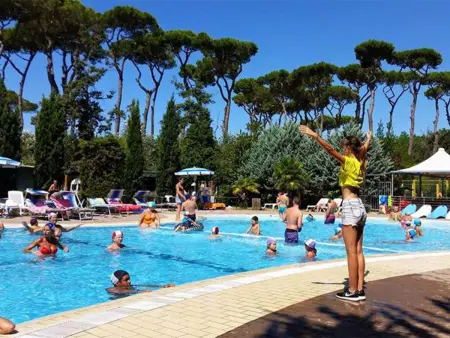 Camping Paradiso - Aranciona 7, Maison 5 personnes à Viareggio - Photo 13