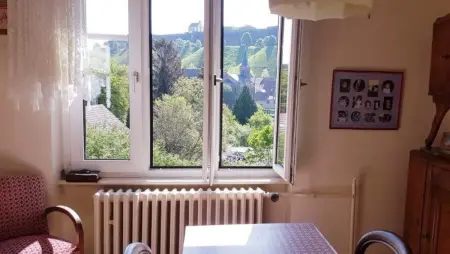 Spacieuse maison à Bitche de 300 m² avec 8 chambres - Photo 16