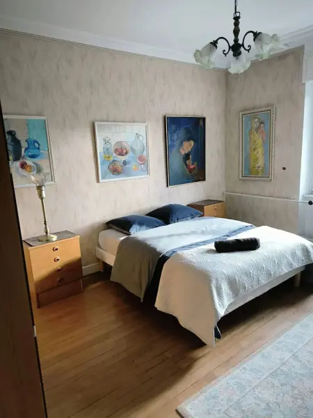 Spacieuse maison à Bitche de 300 m² avec 8 chambres - Photo 50