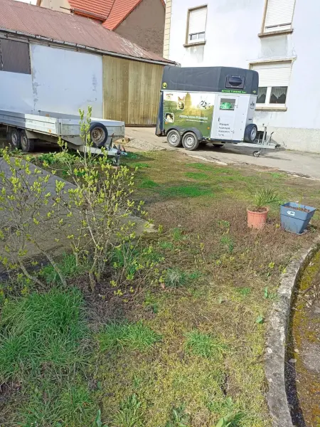Spacieuse maison à Bitche de 300 m² avec 8 chambres - Photo 71