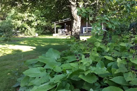 Au Foyer, Charmante maison de vacances avec jardin pour 6 - Photo 33