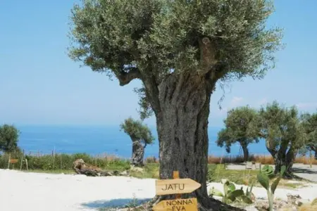 JATU RETREAT, Villa avec piscine privée et vue sur mer - Photo 32