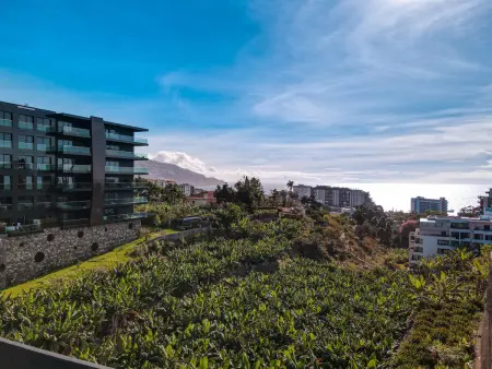 Appartement spacieux, confort 6 pers., Appartement 6 personnes à Funchal - Photo 33