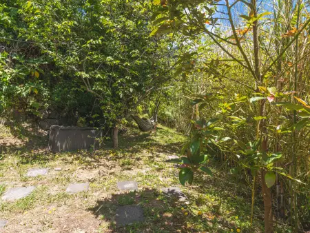 Cottage vue mer et montagne - 4 pers., Gite 4 personnes à São Vicente - Photo 27