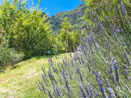 Cottage vue mer et montagne - 4 pers., Gite 4 personnes à São Vicente - Photo 29