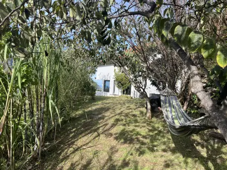 Cottage vue mer et montagne - 4 pers., Gite 4 personnes à São Vicente - Photo 30